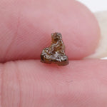 0.50 ct brown colored rough lab grown diamonds for jewelry design