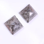 5.64 Ct Princess Cut Diamond Pair Unique Salt And Pepper Diamond Grey Colored Diamond Use For Jewerly Earrings