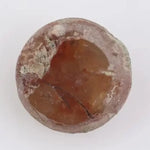 Natural 0.62Ct Brownish-Grey Colored Diamond Natural Diamond Rare For Fine Custom Jewelry