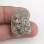 grey colour 31.01 carat diamond price and big raw diamond