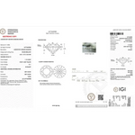 IGI lab grown diamond certificate with grading report and lab grown diamond clarity chart, round brilliant cut diamond, green lab grown diamond