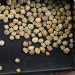 11.36 Ct Yellow Rough Raw Diamond Natural Uncut Diamond Use For Custom Jewerly