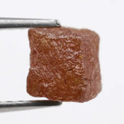 brown colour diamond in the rough new york, diamond in the rough dog training