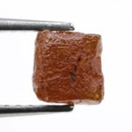 brown colour diamond in the rough new york, diamond in the rough dog training