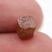 brown colour diamond in the rough new york, diamond in the rough dog training