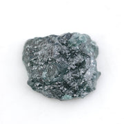 blue diamond diamond in the rough dog training