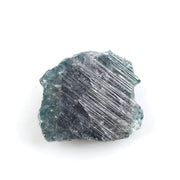 blue diamond diamond in the rough dog training