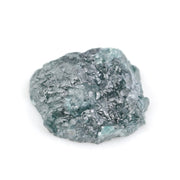 blue diamond diamond in the rough dog training
