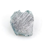 blue diamond diamond in the rough dog training