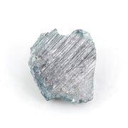 blue diamond diamond in the rough dog training