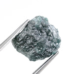 blue diamond diamond in the rough dog training
