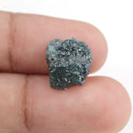 blue diamond diamond in the rough dog training