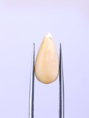 3.93 Carat Botswana Agate Cabochon Gemstone Bullet Shape Gemstone