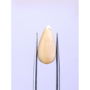 3.93 Carat Botswana Agate Cabochon Gemstone Bullet Shape Gemstone