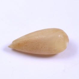 3.93 Carat Botswana Agate Cabochon Gemstone Bullet Shape Gemstone