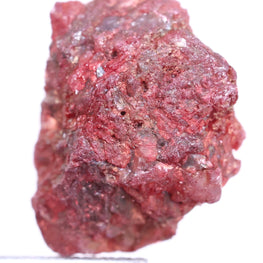 Raw red diamond held by tweezers on a white background