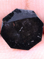 octagon black lab grown on a person's palm