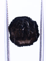 Black spider diamond on a white background