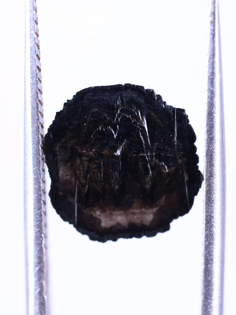 Black spider diamond on a white background