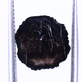 Black spider diamond on a white background