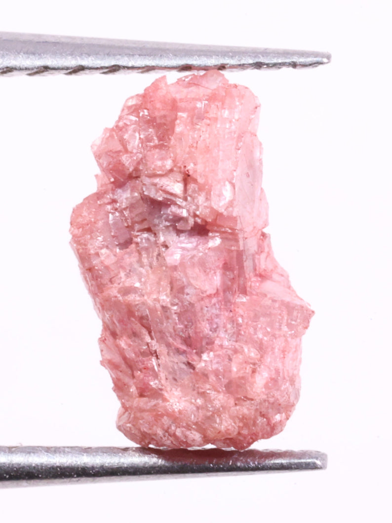 Raw pink light pink on tweezers against a white background