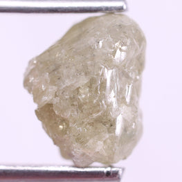 Raw diamond held by tweezers on a white background