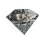Geometric cut salt and pepper lab grown diamond with smoky black and white inclusions, showcasing a unique faceted shape and modern ethical gemstone design on a clean white background