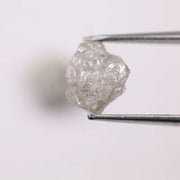 Natural rough gray diamond pair featuring raw, uncut beauty.
