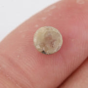 0.73Ct Natural Round Brilliant Cut Diamond Grey-Yellow Colored Diamond For Custom Fine Jewelry Loose Stone 