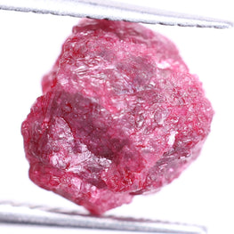 Raw pink diamond held between tweezers on a white background