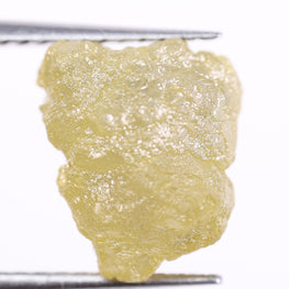 Raw diamond held between tweezers on a white background