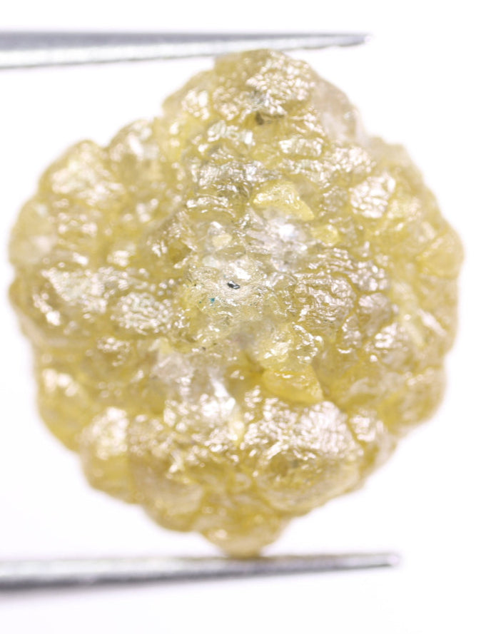 Raw diamond held by tweezers on a white background