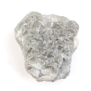 grey color diamond ideal cut and old mine cut diamond