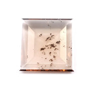 elegant brown Square lab grown diamond loose stone for custom ring design