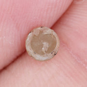 brown colour natural brown diamonds natural brown diamonds