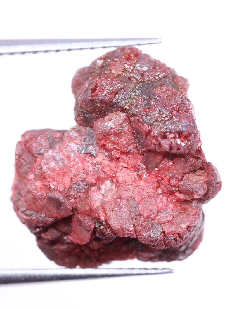 Red natural diamond held by tweezers on a white background