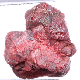 Red natural diamond held by tweezers on a white background