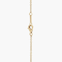 Elegance Round Moissanite Zodiac Necklace