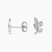 Juniper Moissanite Diamond Earrings in 925 Silver