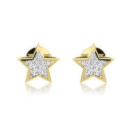 Star Shape Stud Beautiful Earring Anniversary Gift