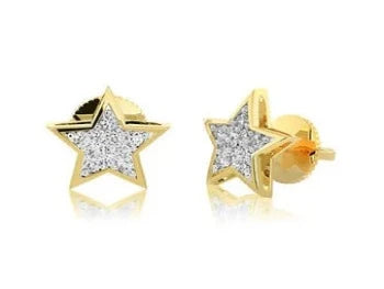 Star Shape Stud Beautiful Earring Anniversary Gift