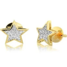 Star Shape Stud Beautiful Earring Anniversary Gift