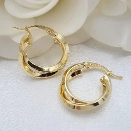 Double Hoop Elegant Earrings
