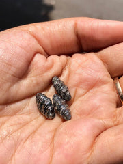 Croissant Shape Natural Diamond Beads